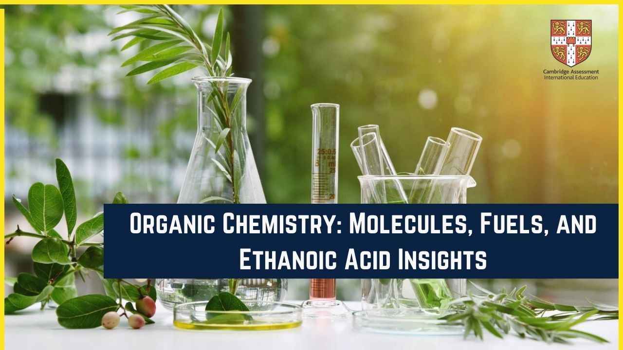 Chapter 11 – Organic Chemistry: Molecules, Fuels, and Ethanoic Acid Insights