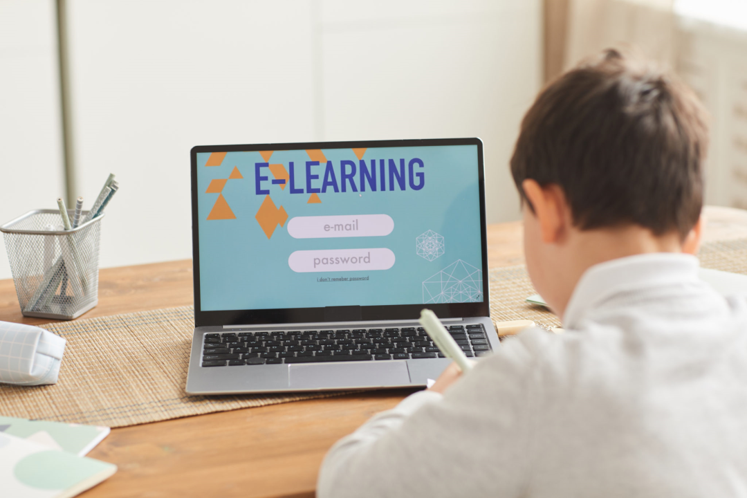 Online Learning in Pakistan