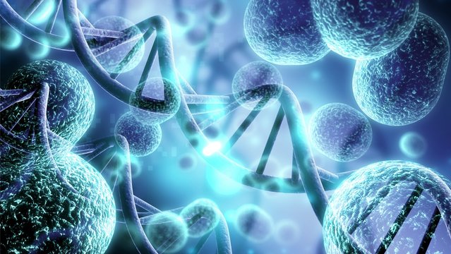 Chapter 4: Biological Molecules