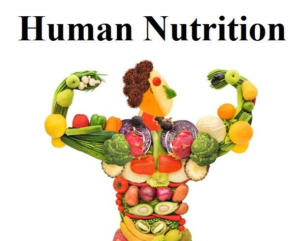 Chapter 8: Human Nutrition